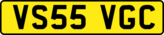 VS55VGC