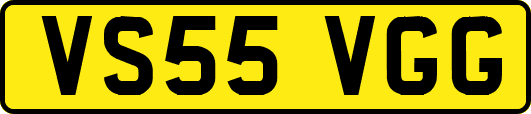 VS55VGG