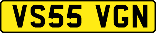 VS55VGN