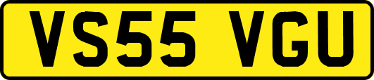 VS55VGU