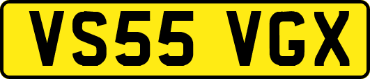 VS55VGX