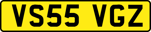 VS55VGZ