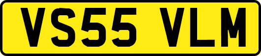 VS55VLM