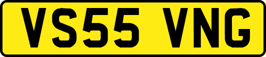 VS55VNG