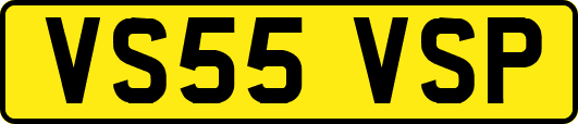 VS55VSP