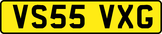 VS55VXG