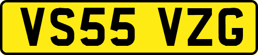 VS55VZG