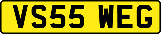 VS55WEG