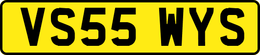 VS55WYS