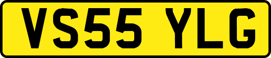 VS55YLG