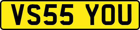 VS55YOU