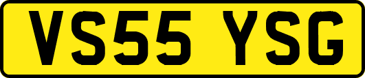 VS55YSG