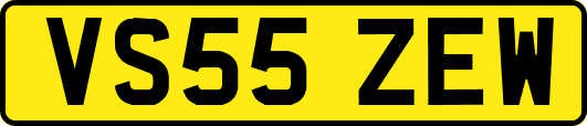 VS55ZEW