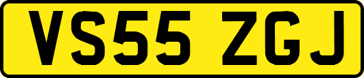 VS55ZGJ