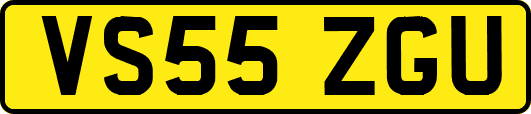 VS55ZGU