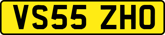 VS55ZHO