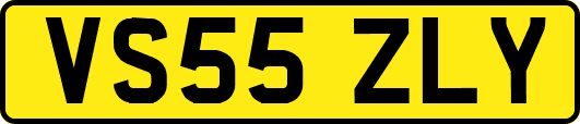 VS55ZLY