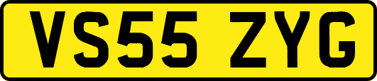 VS55ZYG