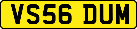 VS56DUM