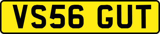 VS56GUT