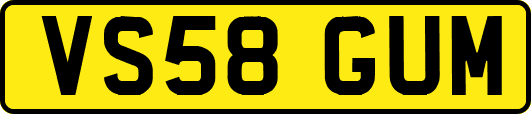 VS58GUM
