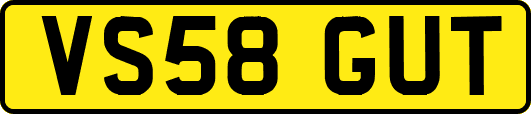 VS58GUT
