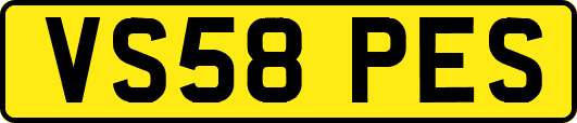VS58PES