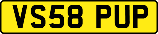 VS58PUP