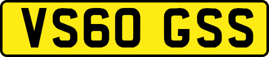 VS60GSS