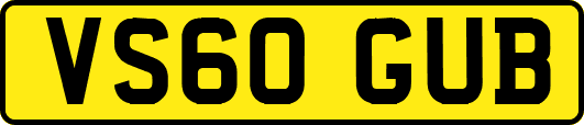 VS60GUB