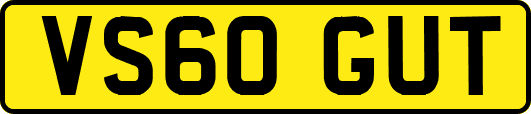 VS60GUT