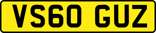 VS60GUZ