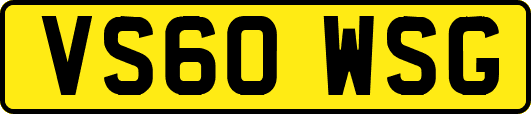 VS60WSG