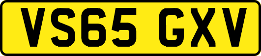 VS65GXV