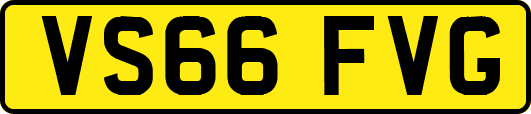 VS66FVG