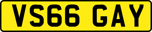VS66GAY