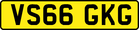VS66GKG