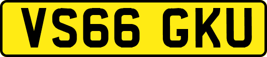 VS66GKU
