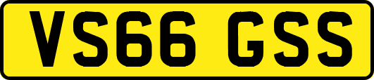 VS66GSS