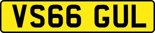 VS66GUL