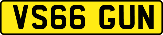 VS66GUN