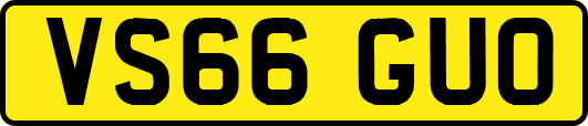 VS66GUO