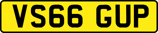 VS66GUP