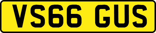 VS66GUS