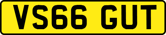 VS66GUT