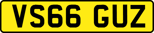 VS66GUZ