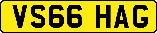 VS66HAG
