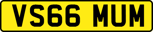 VS66MUM