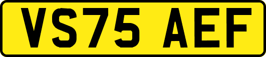 VS75AEF