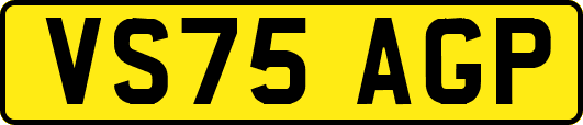 VS75AGP